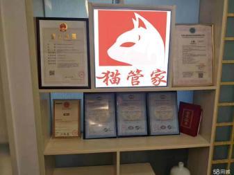 急速上门，除四害-灭鼠-除虫除蚁提供灭跳蚤、除螨、灭蚂蚁服务